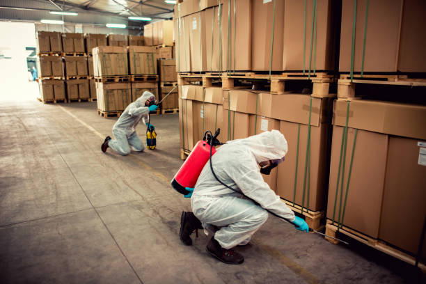 Best Termite Control Services  in Pine Crest, TN