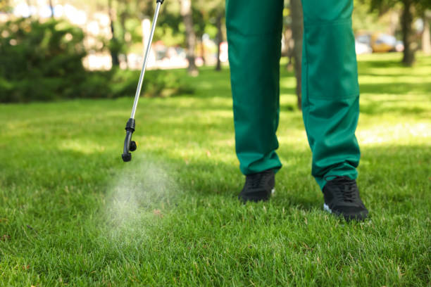 Professional Pest Control in Pine Crest, TN