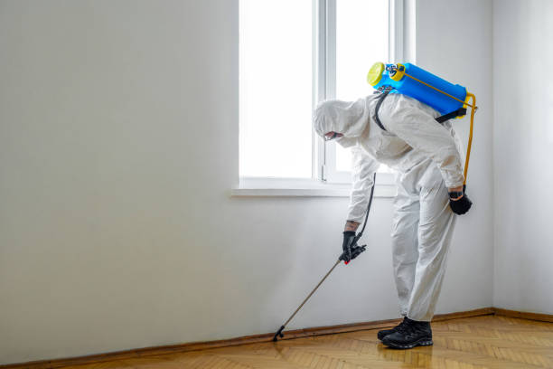 Best Emergency Pest Control  in Pine Crest, TN