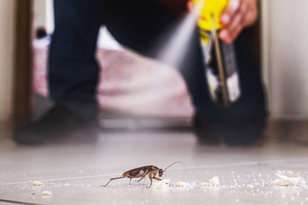 Pest Control Cost in Pine Crest, TN