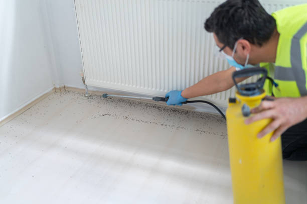 Best Affordable Pest Control Services  in Pine Crest, TN