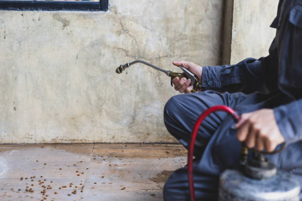 Best Affordable Pest Control Services  in Pine Crest, TN
